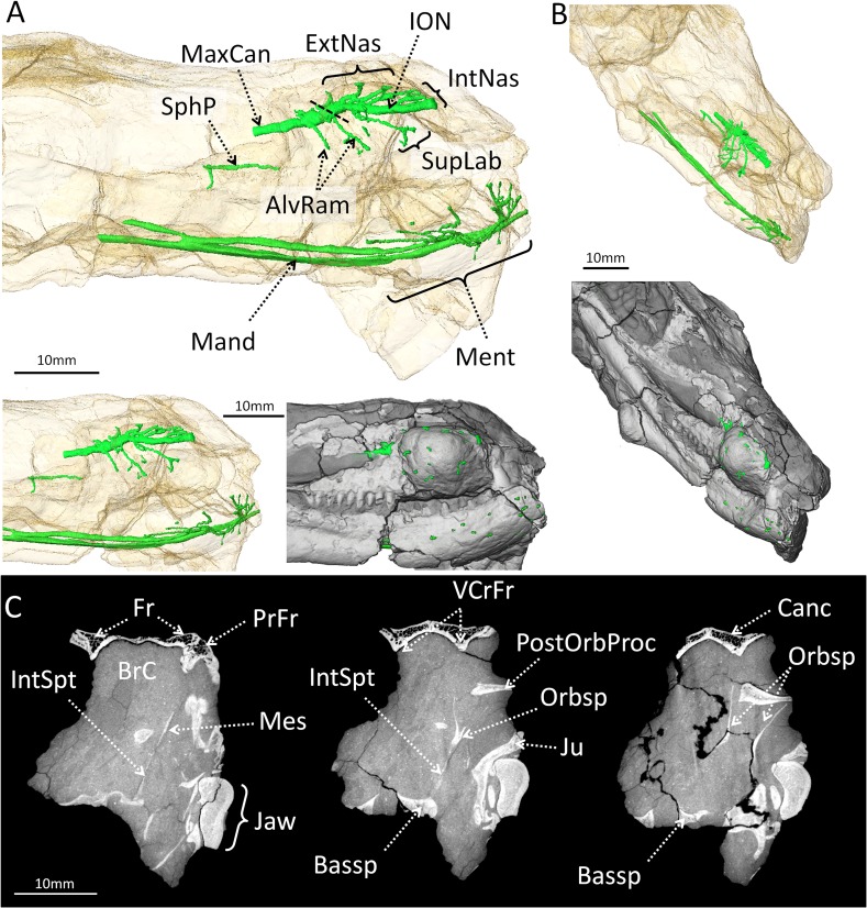 Fig 3