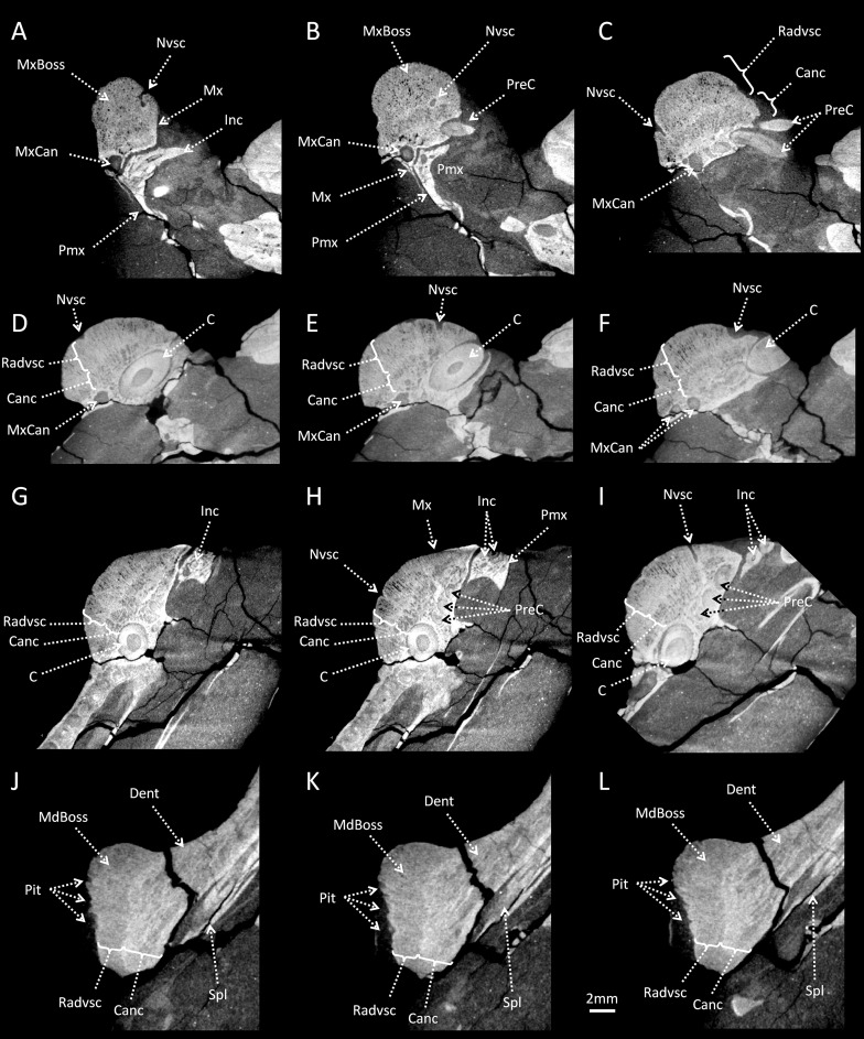 Fig 2