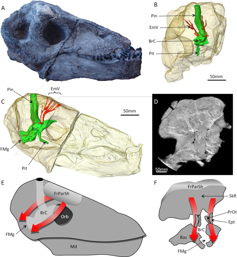 Fig 4