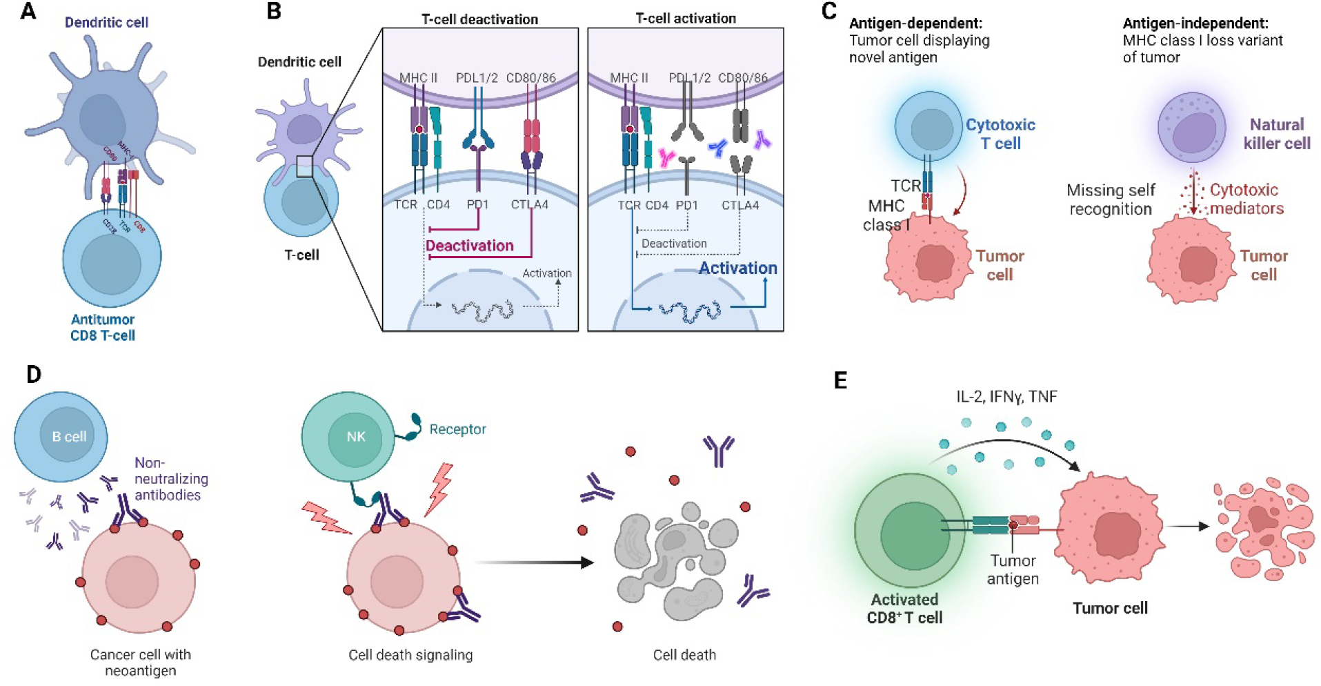 Figure 4: