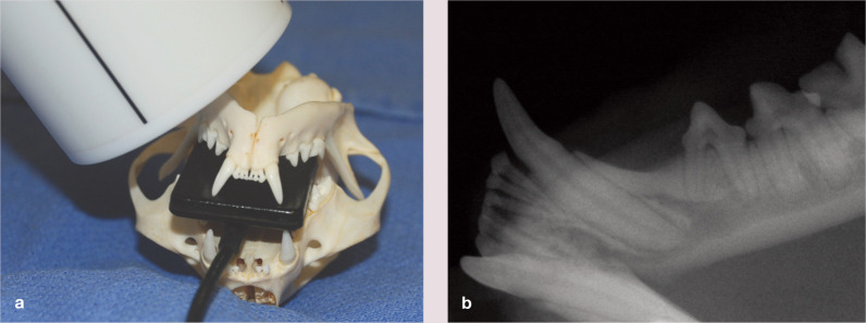 Figure 10