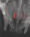 Figure 21
