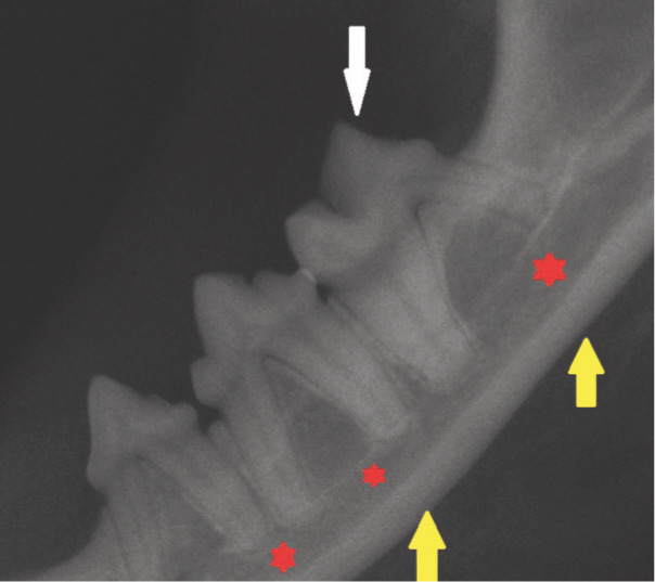 Figure 16