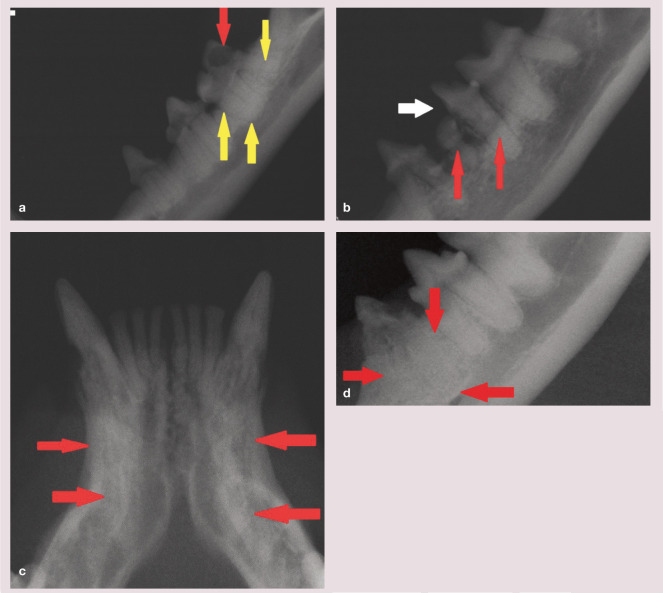 Figure 24