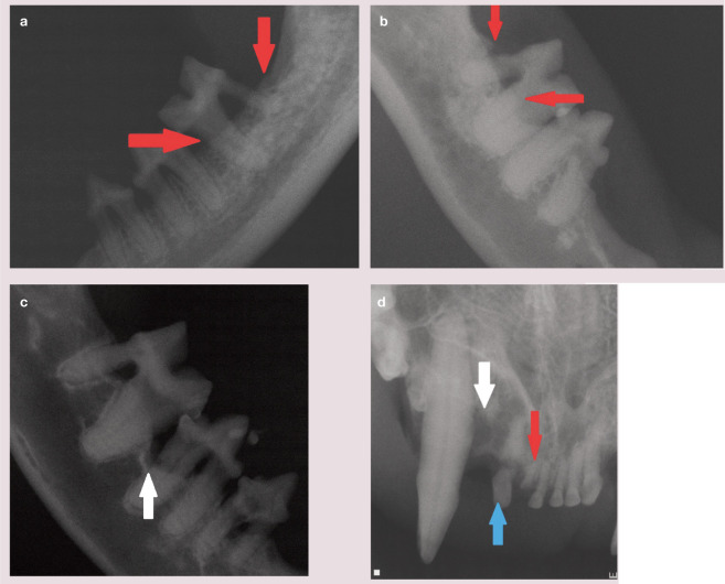 Figure 22