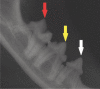 Figure 17
