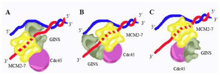 Figure 7