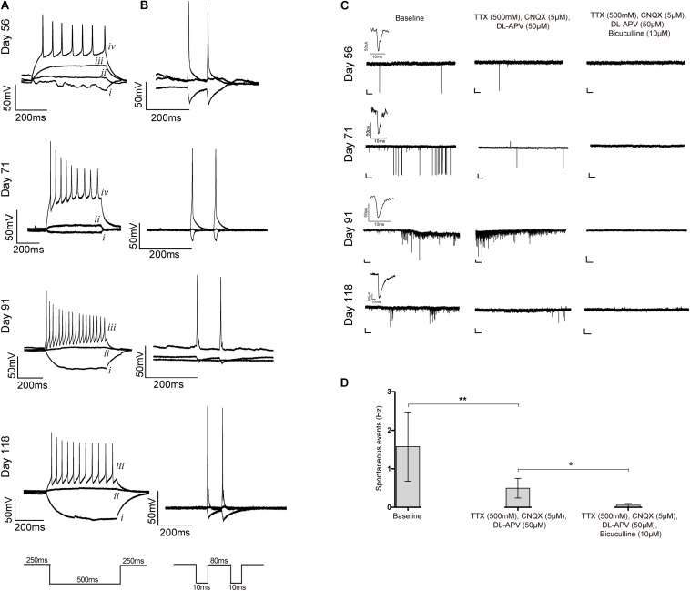 FIGURE 6