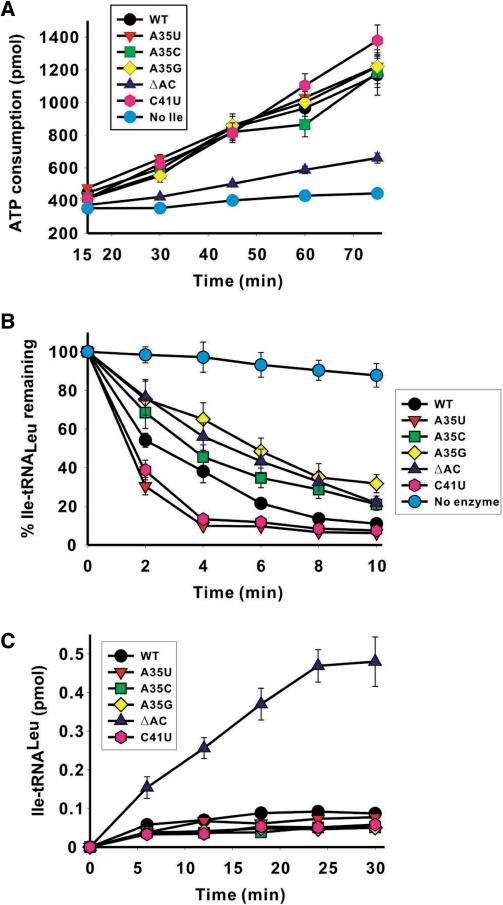 Figure 5.