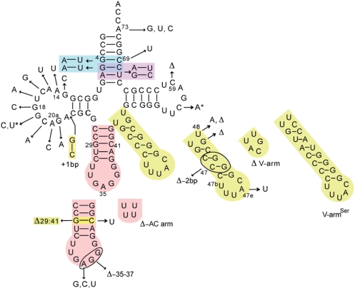 Figure 4.