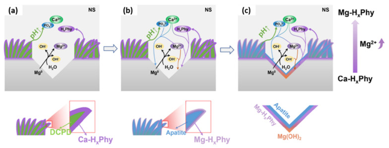 Figure 10