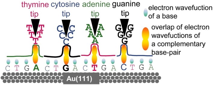 Figure 10