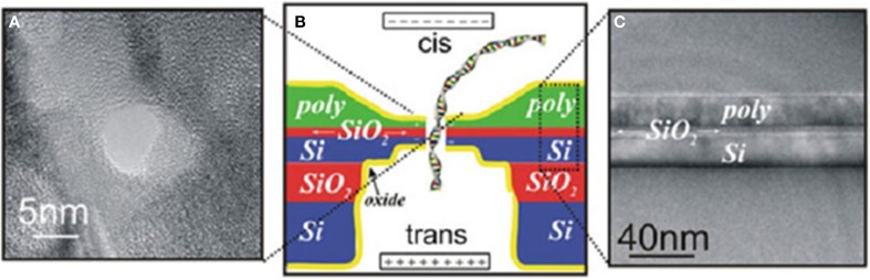 Figure 12