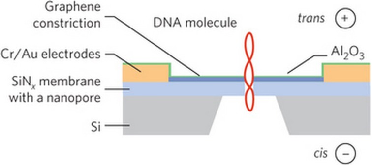 Figure 13