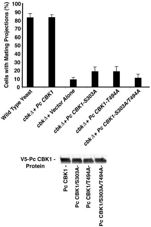 FIG. 8.