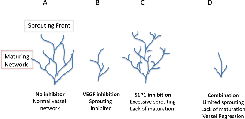 Figure 7.