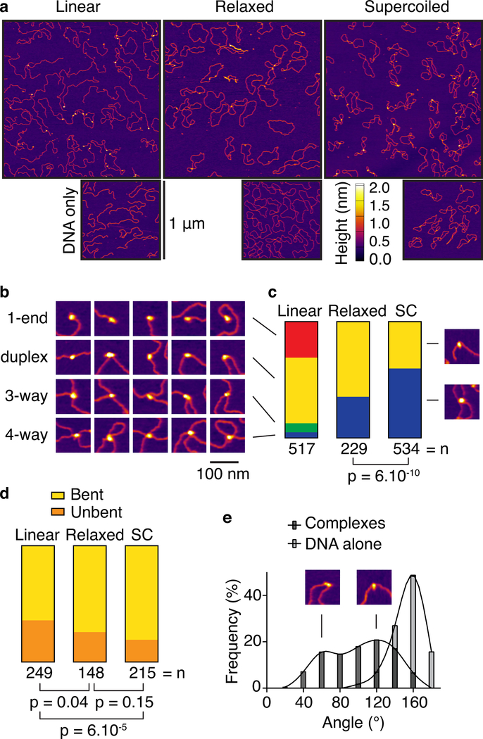 Fig. 3: