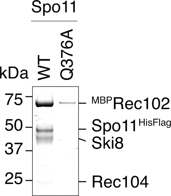 Extended Data Fig. 3: