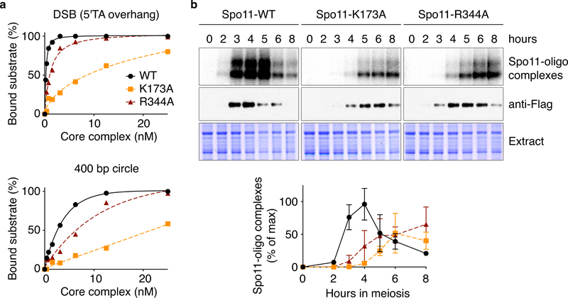 Fig. 6: