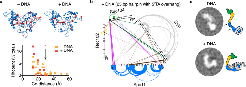 Fig. 7: