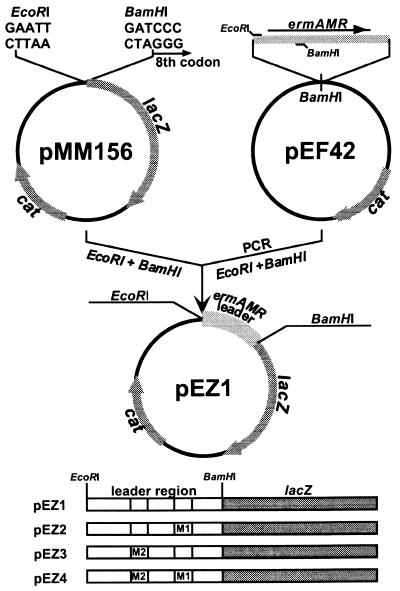 FIG. 1