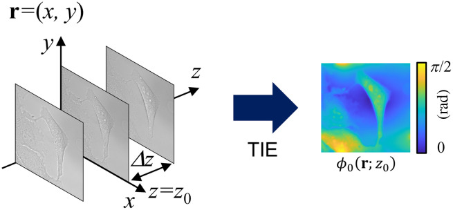 Fig. 1