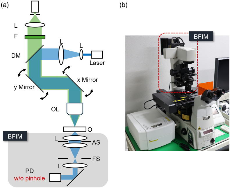 Fig. 2