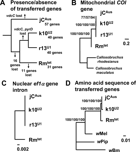 Figure 6.