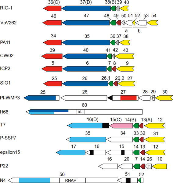 Fig. 7