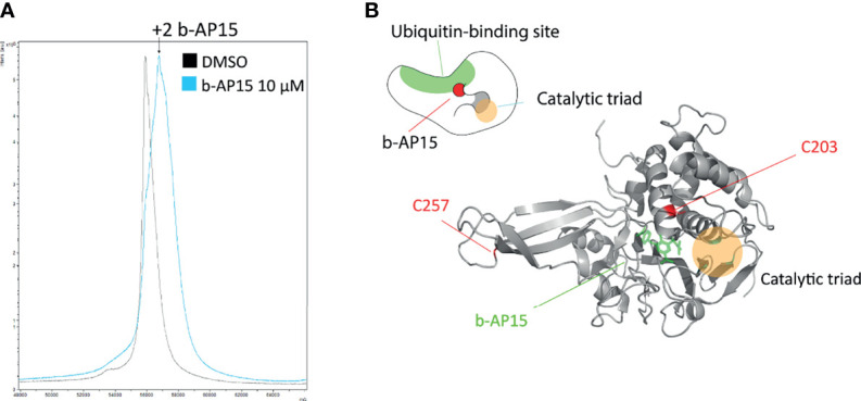 Figure 5