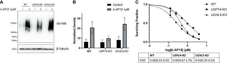 Figure 6