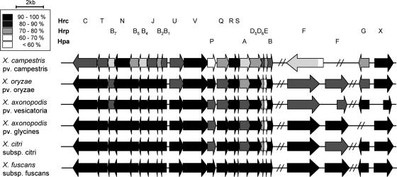 FIG. 2.