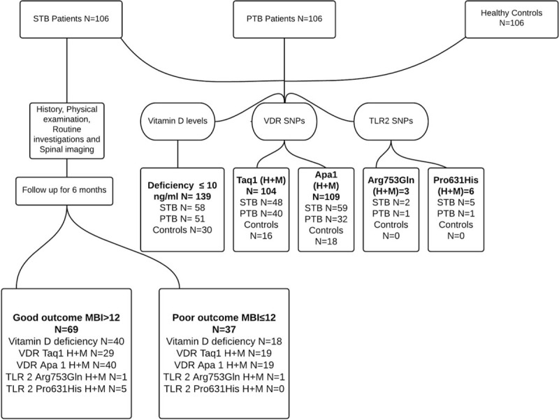 FIGURE 1