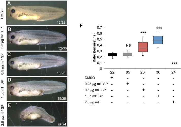 Fig. 8.