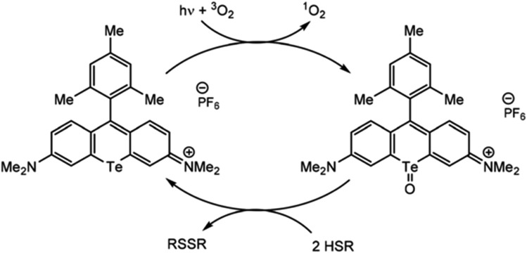 Fig. 4