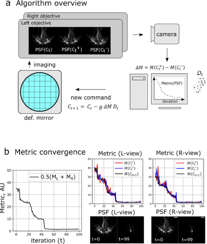 Fig. 2.