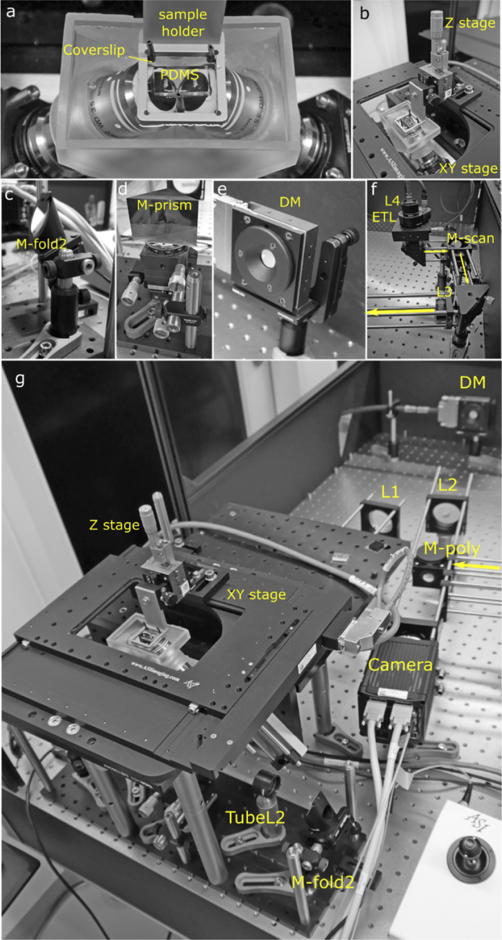 Fig. 7.