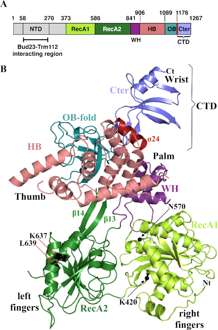 Figure 2.