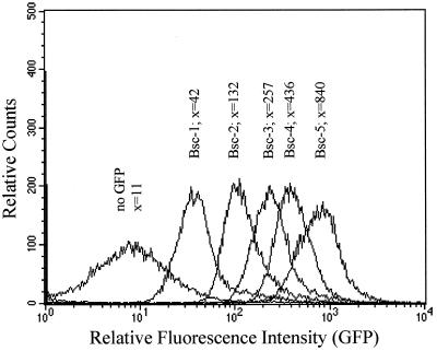 FIG. 1