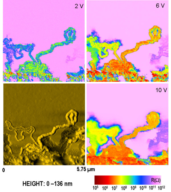 Figure 5