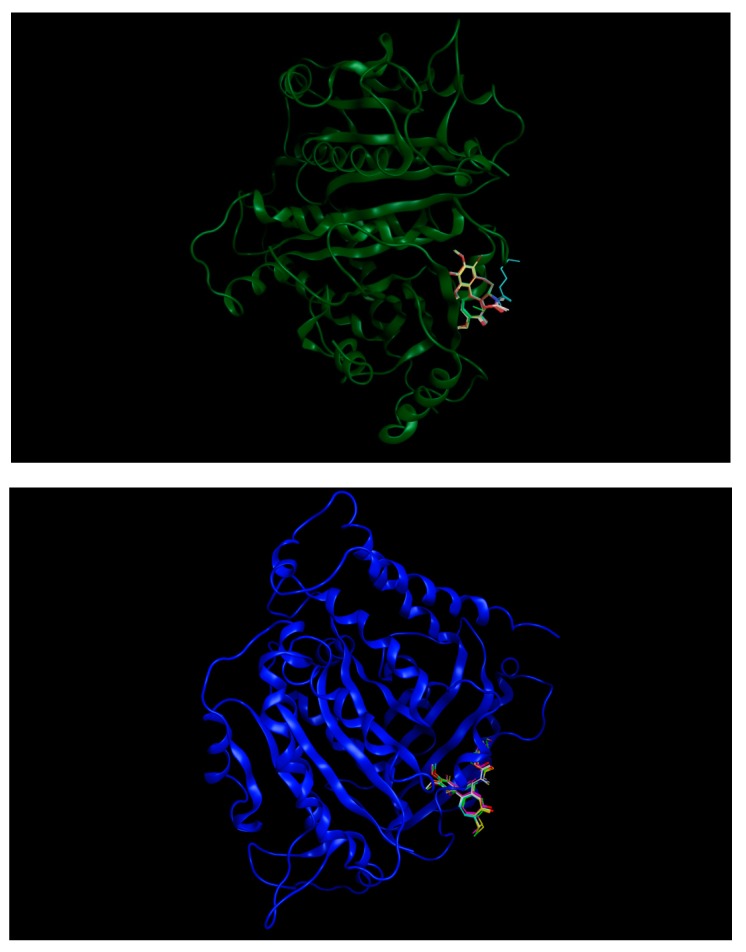 Figure 13