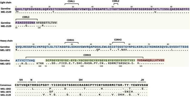 Figure 4