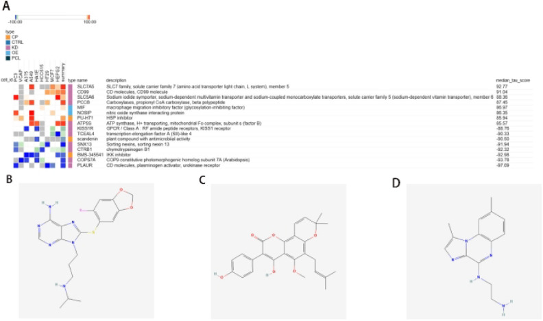 Fig. 9