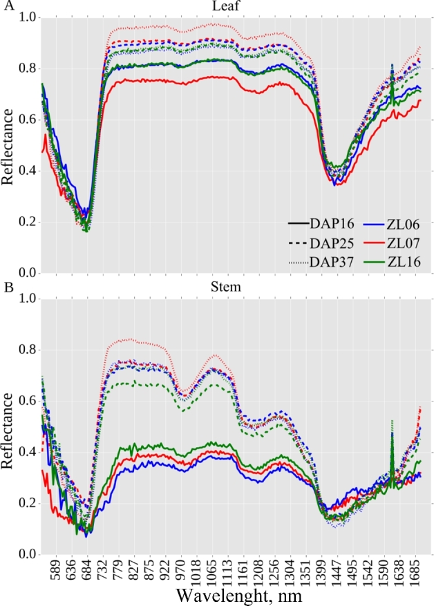 Figure 6: