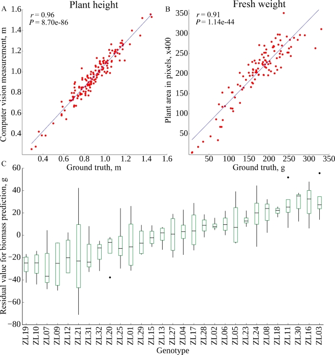 Figure 2: