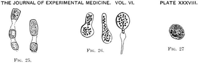 Figure 10.