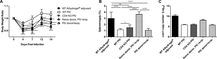 FIG 6