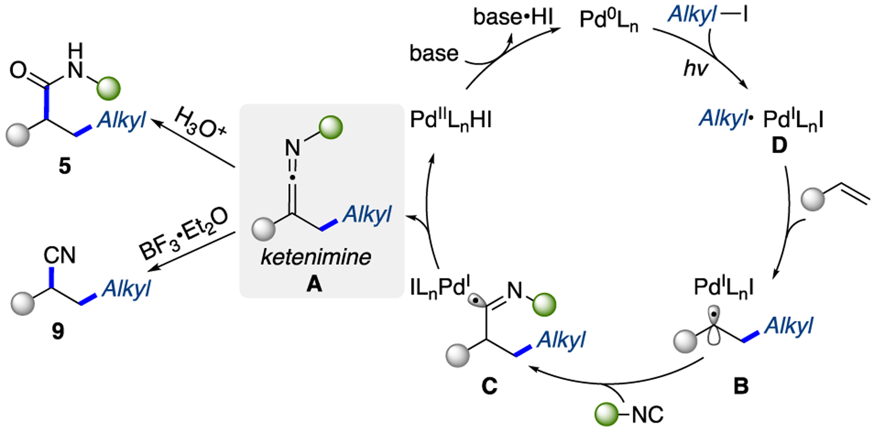 Scheme 5.