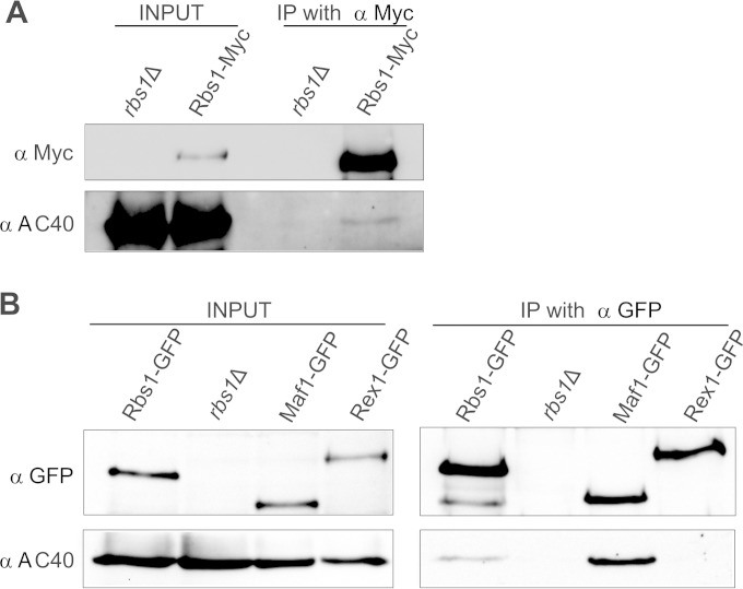 FIG 5