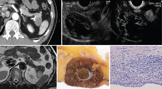 Figure 13